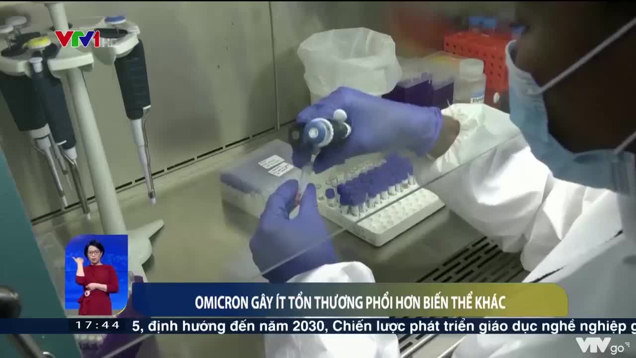 Omicron gây ít tổn thương phổi hơn biến thể khác | Việt Nam hôm nay